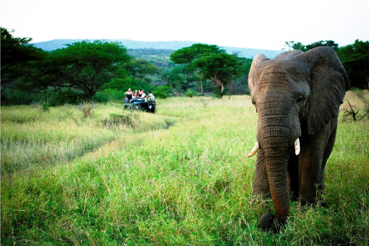 Thula Thula Exclusive Private Game Reserve & Lodge Ntambanana Exterior foto