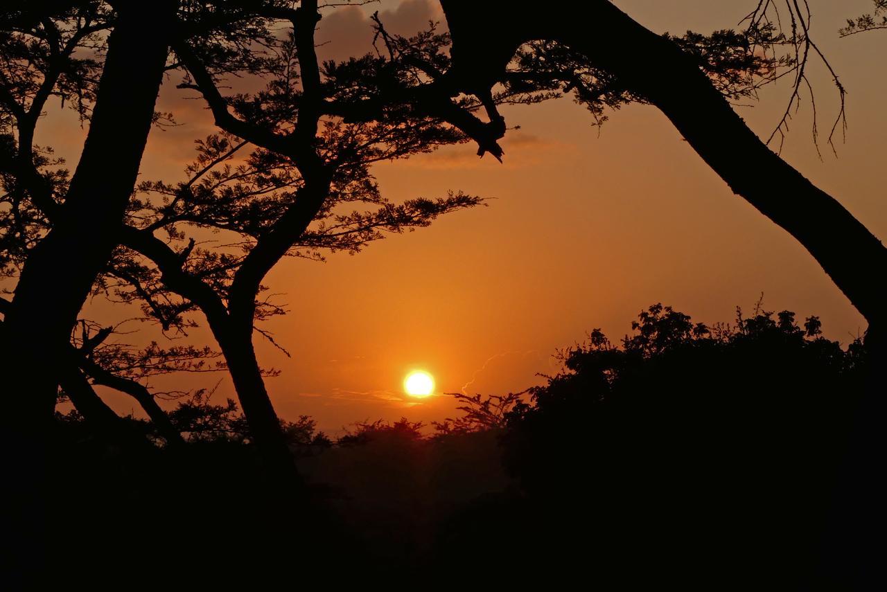 Thula Thula Exclusive Private Game Reserve & Lodge Ntambanana Exterior foto